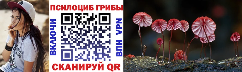 Псилоцибиновые грибы Cubensis  OMG вход  Новотроицк  хочу наркоту 