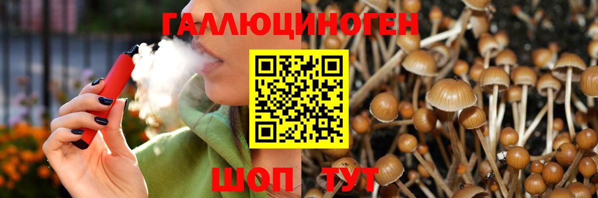 Псилоцибиновые грибы ЛСД  Галлюциногенные грибы Psilocybe  Вход с VPN  Новотроицк 